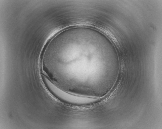 X0000116280990200912141345