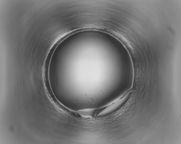 X0000116280991200912141345