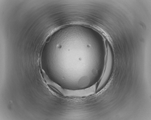 X0000116280993200912141345