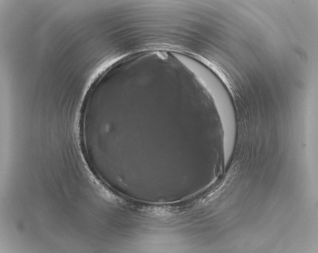 X0000116280995200912141345