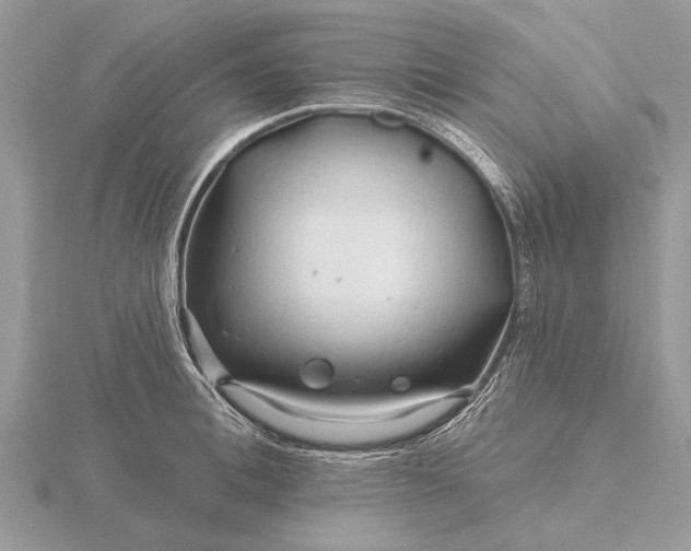 X0000116280996200912141345