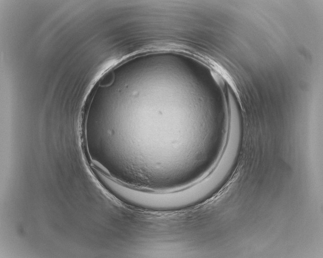 X0000116280997200912141345