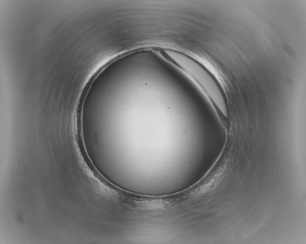 X0000116280999200912141345