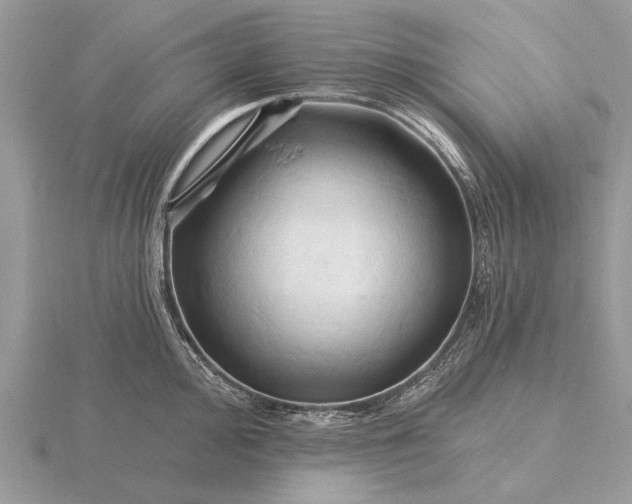 X0000116281000200912141345