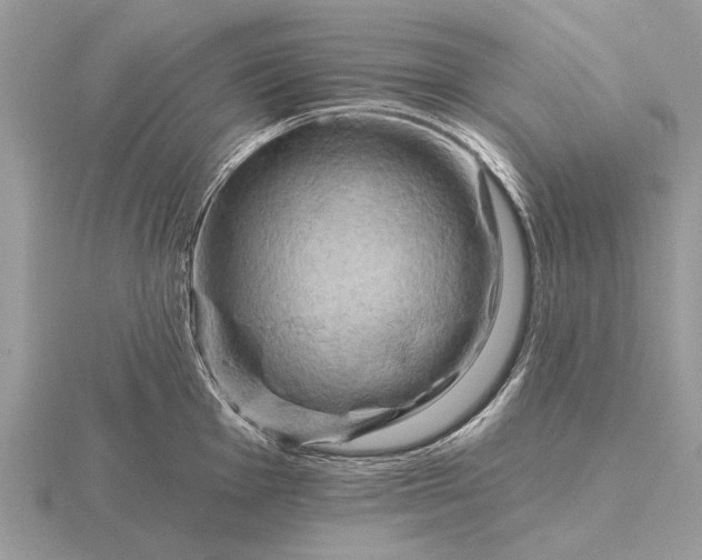 X0000116281001200912141345