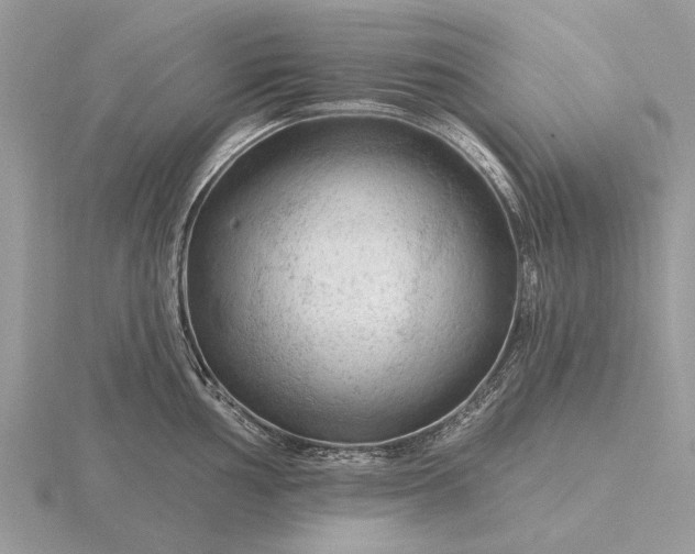 X0000116281002200912141345