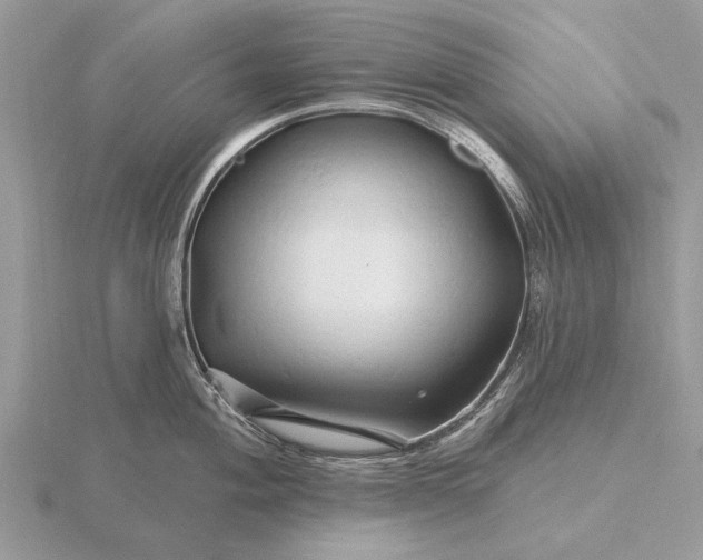 X0000116281004200912141345