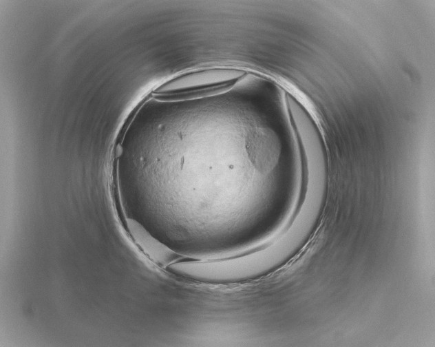 X0000116281005200912141345