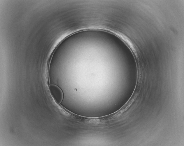 X0000116281006200912141345