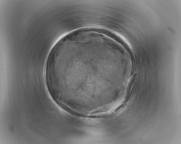 X0000116281007200912141345