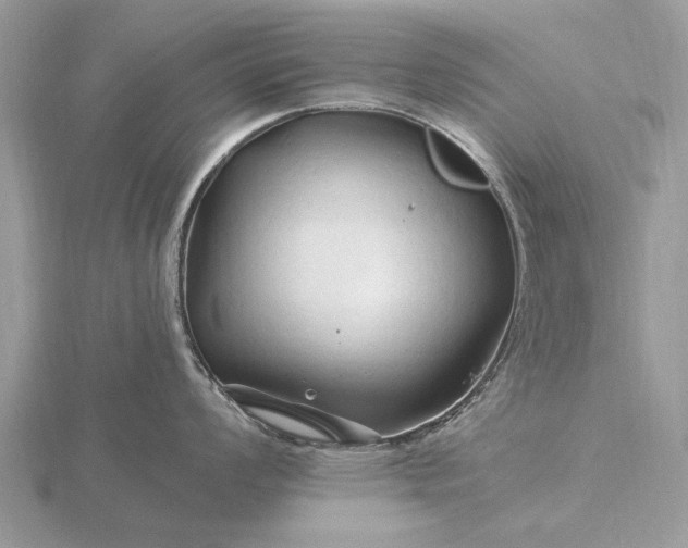 X0000116281008200912141345