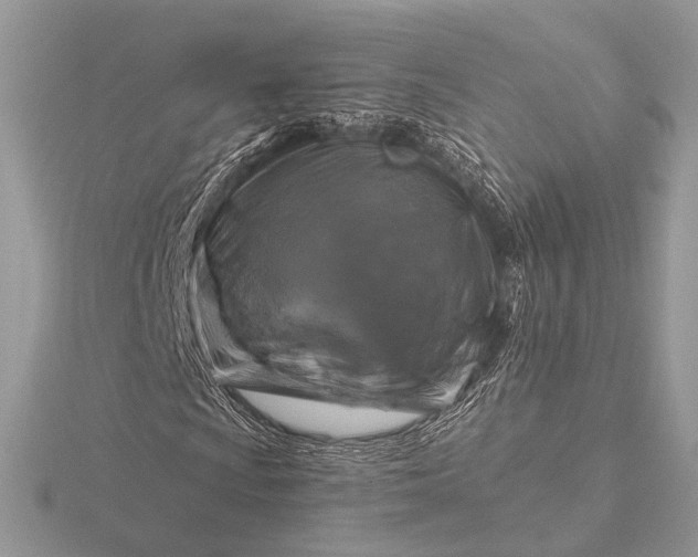 X0000116281009200912141344