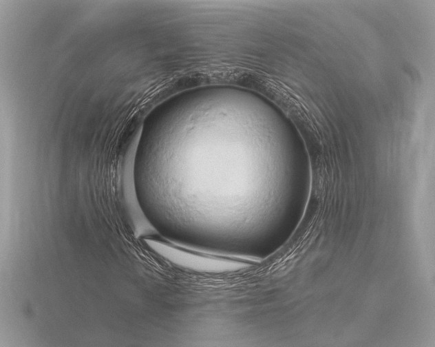 X0000116281010200912141344