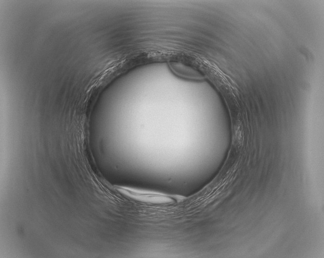 X0000116281012200912141344