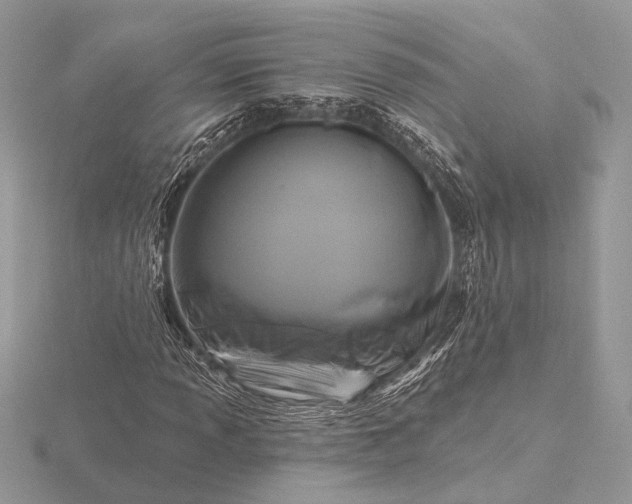 X0000116281013200912141344