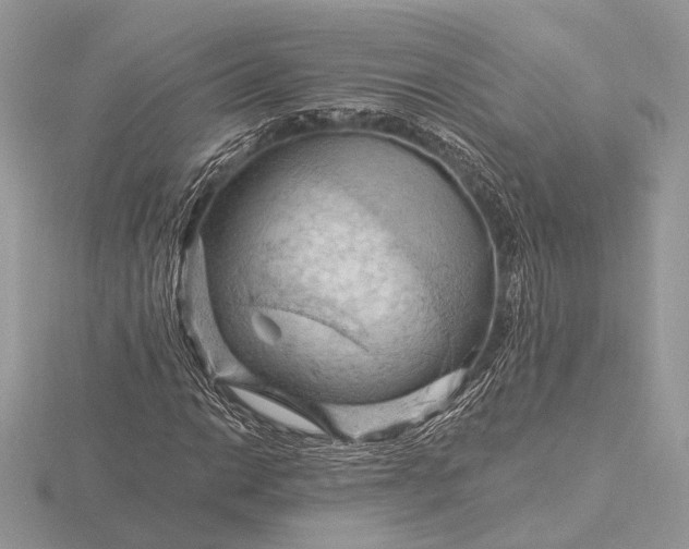 X0000116281014200912141344