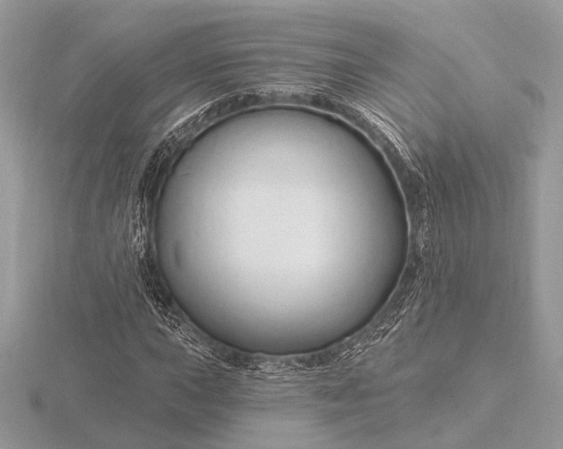 X0000116281015200912141344