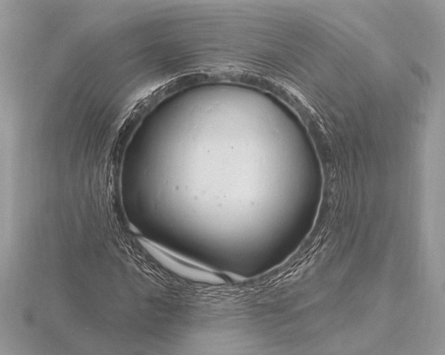 X0000116281016200912141344