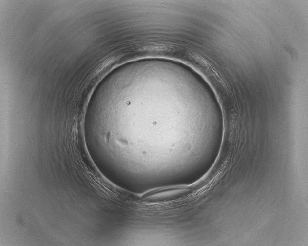 X0000116281017200912141344