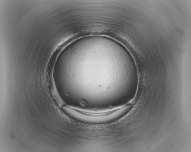 X0000116281018200912141344