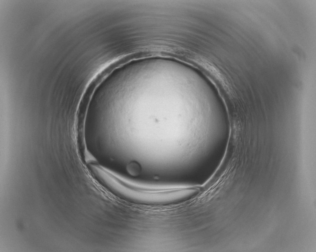 X0000116281020200912141344