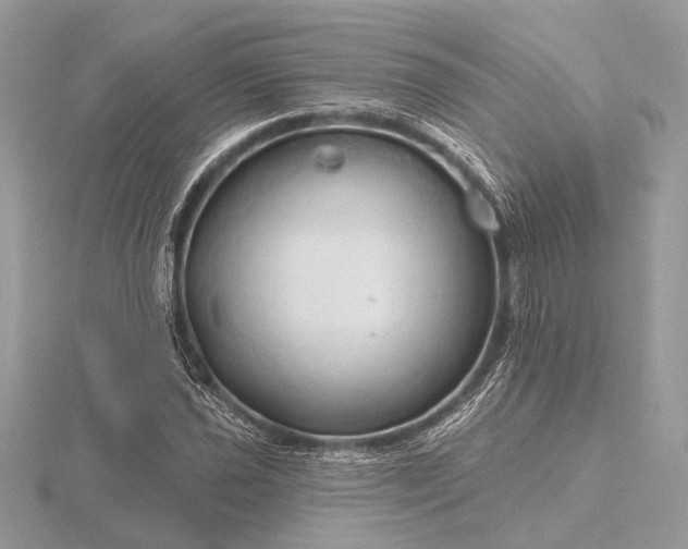 X0000116281021200912141344