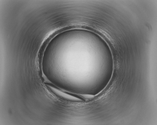 X0000116281022200912141344