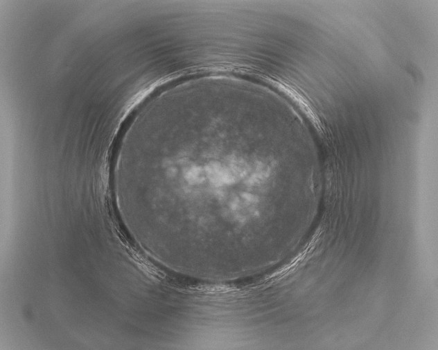 X0000116281023200912141344