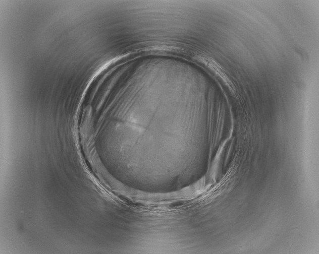 X0000116281024200912141344