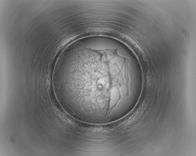 X0000116281025200912141344