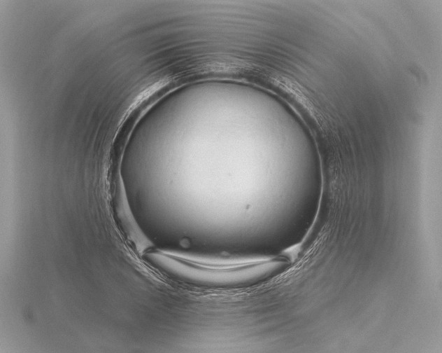 X0000116281026200912141344