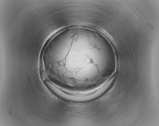 X0000116281028200912141344