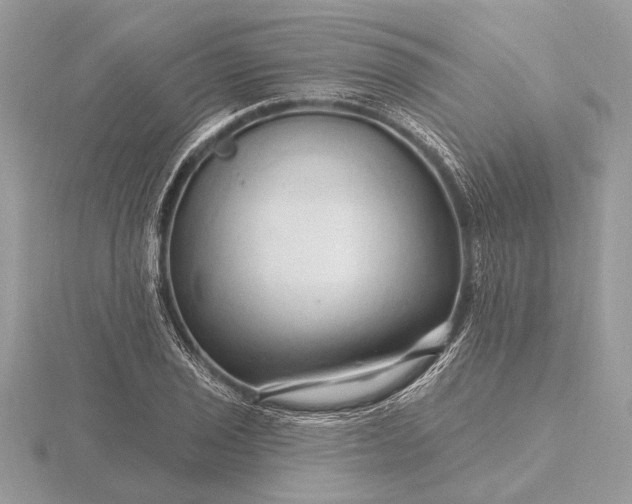 X0000116281029200912141344