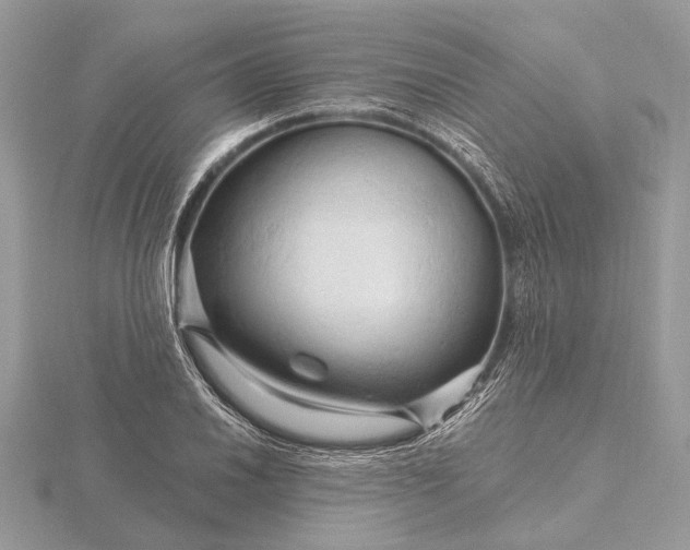 X0000116281030200912141344