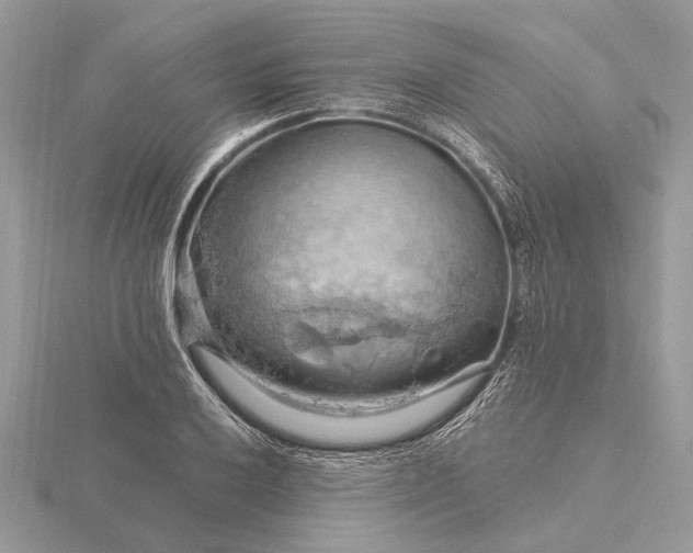 X0000116281032200912141344