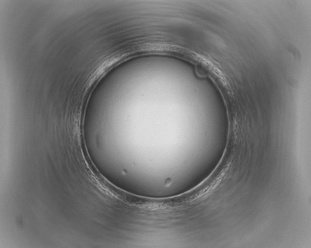 X0000116281033200912141344