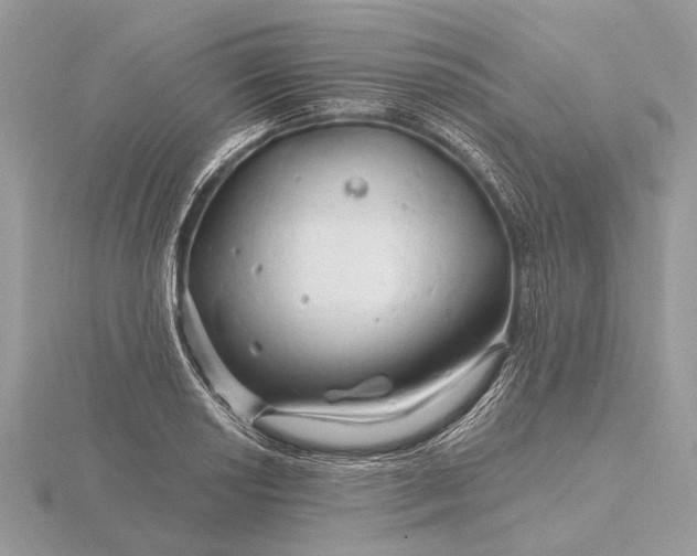 X0000116281034200912141344