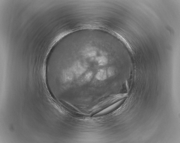 X0000116281035200912141344