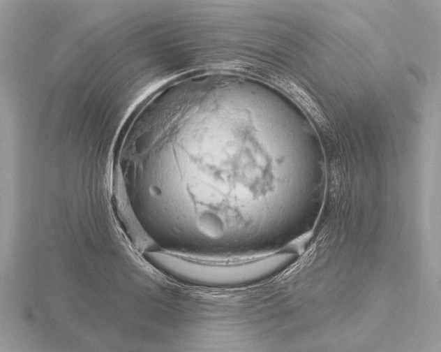 X0000116281036200912141344