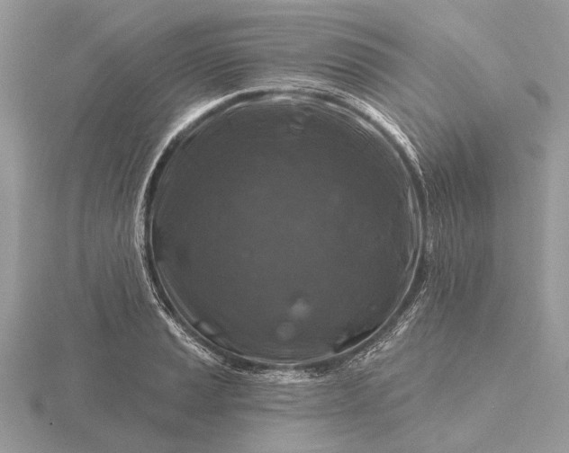 X0000116281037200912141344