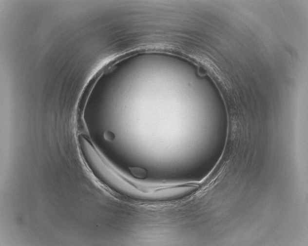 X0000116281038200912141344