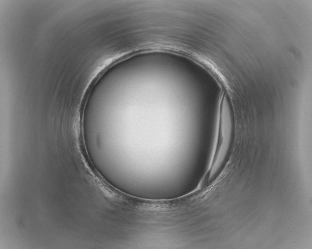 X0000116281040200912141344