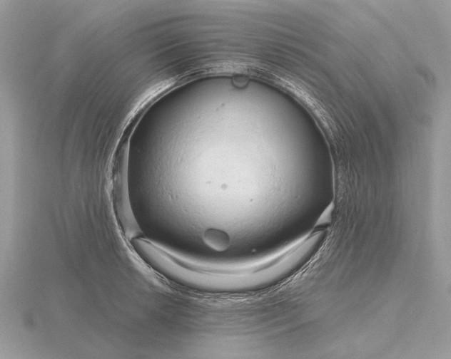 X0000116281042200912141344