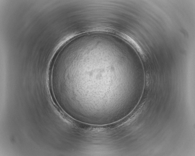 X0000116281043200912141344