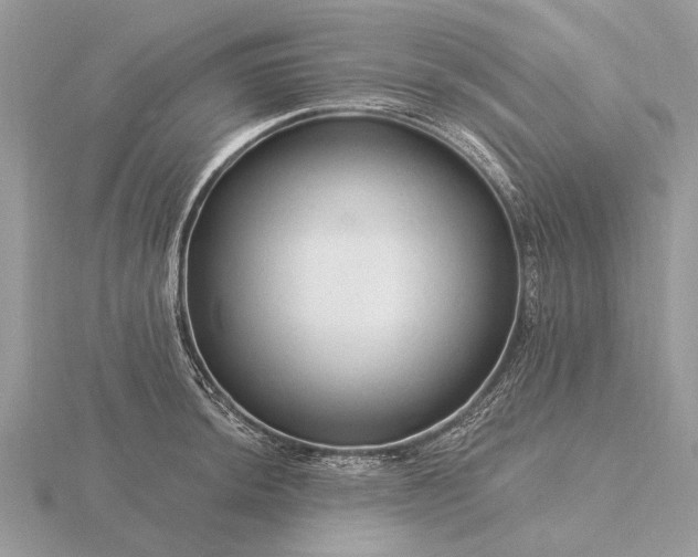 X0000116281044200912141344