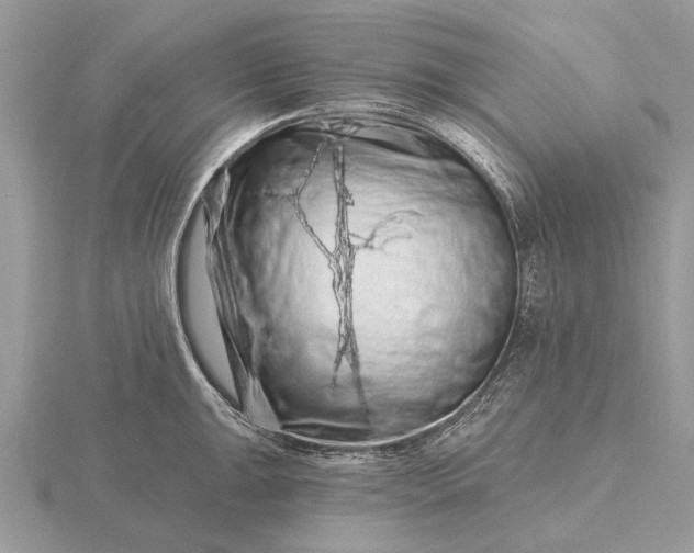 X0000116281047200912141344