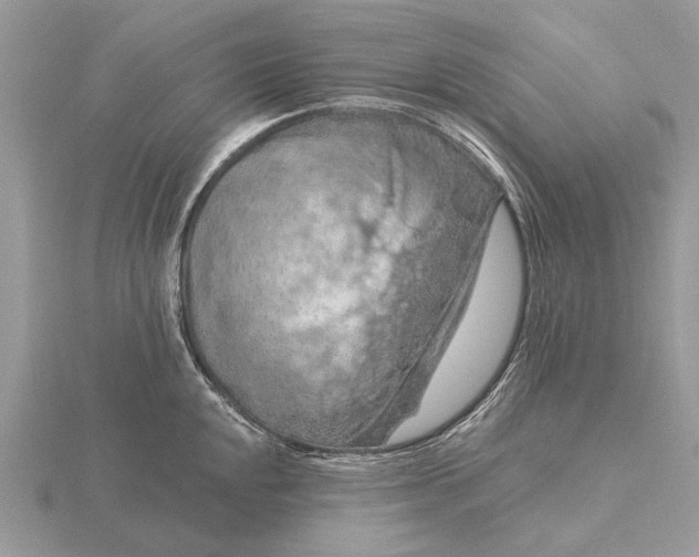 X0000116281048200912141344