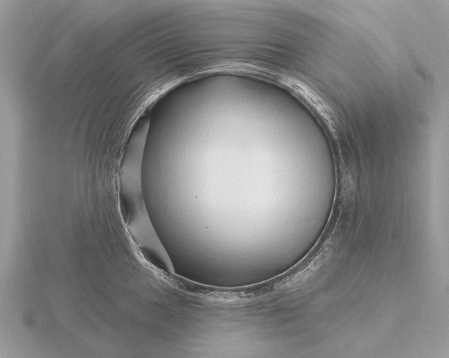 X0000116281049200912141344