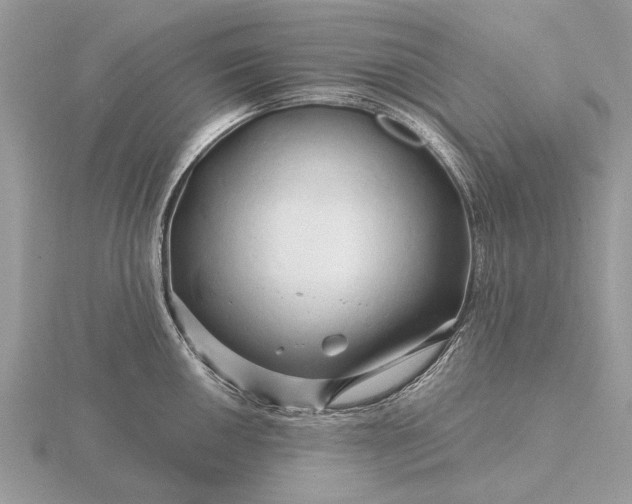 X0000116281050200912141344