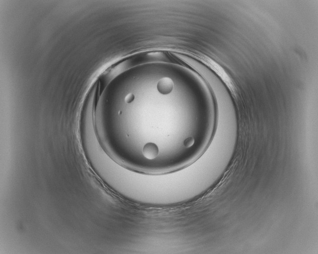 X0000116281051200912141344